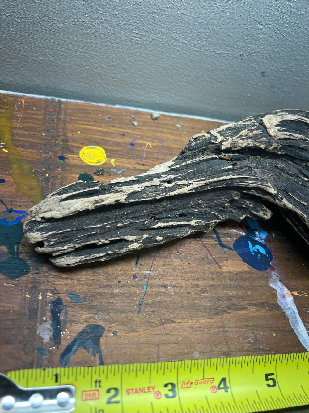 Natural Driftwood Aquarium & Terrarium Decor - Brown found on the James River